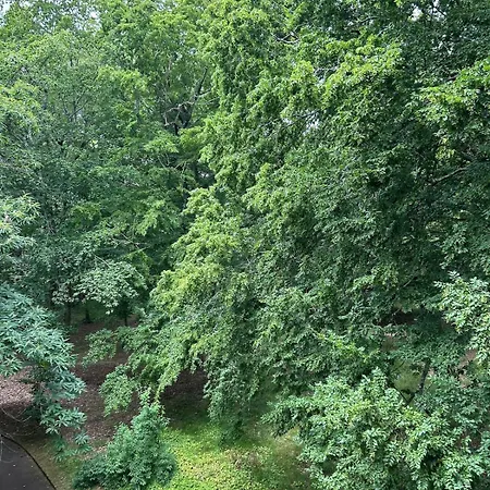 アパート Pailley Ecrin De Verdure, Terrasse Ensoleillee *