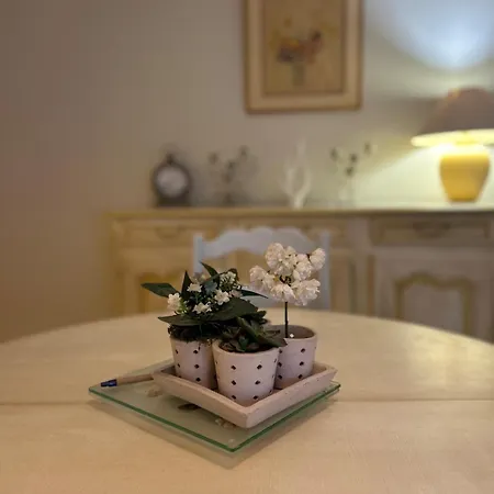 アパート Pailley Ecrin De Verdure, Terrasse Ensoleillee *